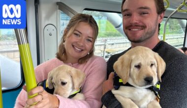 Love story: Being vision impaired made me feel unlovable, then I met Jed