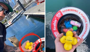 ‘Dumb idea’: Sydney Harbour golf promotion sparks plastic pollution row