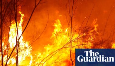 ‘Catastrophic wildfire loop’ created after colonisation left parts of Australia more at risk from bushfires, study finds | Environment
