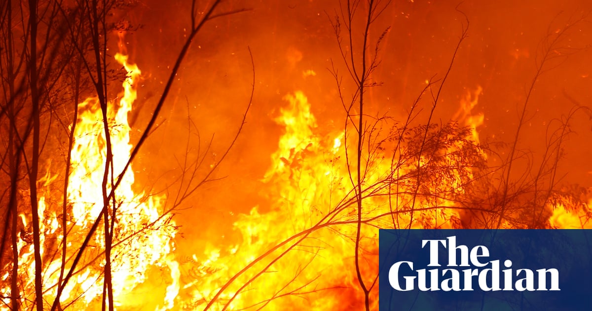 ‘Catastrophic wildfire loop’ created after colonisation left parts of Australia more at risk from bushfires, study finds | Environment