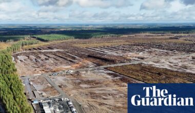 Google told to halt work on datacentres in Finland over environmental concerns | Google