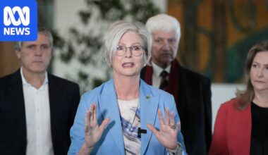 After Helen Haines 'attack' in the street, Australian democracy is facing its biggest test