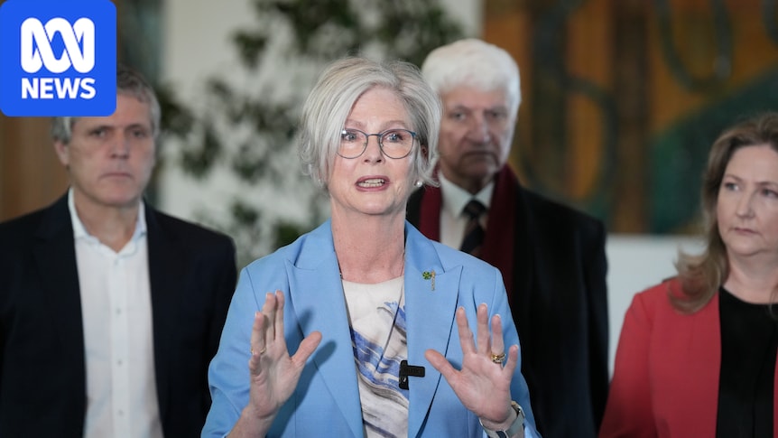 After Helen Haines 'attack' in the street, Australian democracy is facing its biggest test