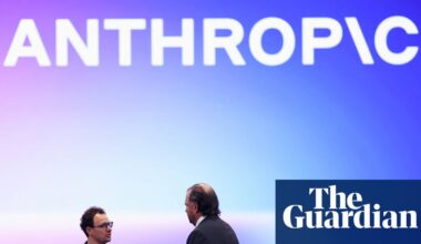 Experts cast doubt on Anthropic report detailing how AI has altered work at the company | Anthropic