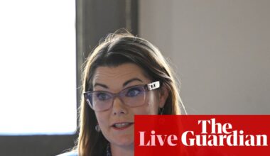 Australian politics live: Greens condemn rightwing push against social media reform and vow to table bill to block US execution livestream | Australia news