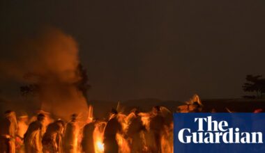 The next ayahuasca? Gabon fights to protect sacred plant from US drug companies | Plants