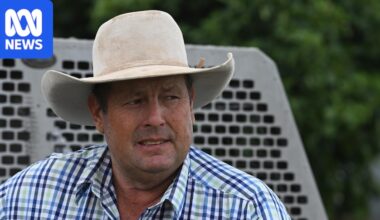 Landholders push for more regulations amid renewables rollout