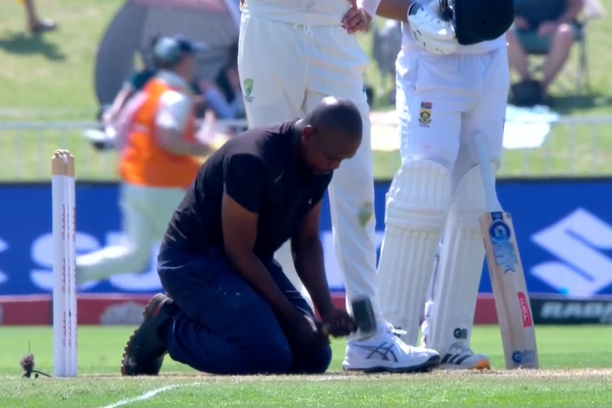 A man in dark clothing hammers down a cricket pitch with a mallet
