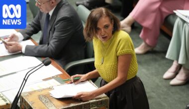 Anne Aly accuses Liberal MP Angie Bell of racism over 'stoning' comment