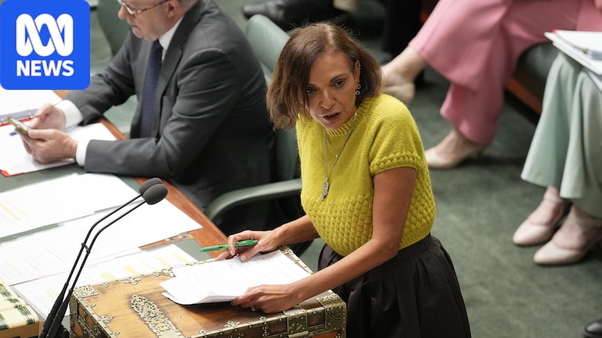 Anne Aly accuses Liberal MP Angie Bell of racism over 'stoning' comment