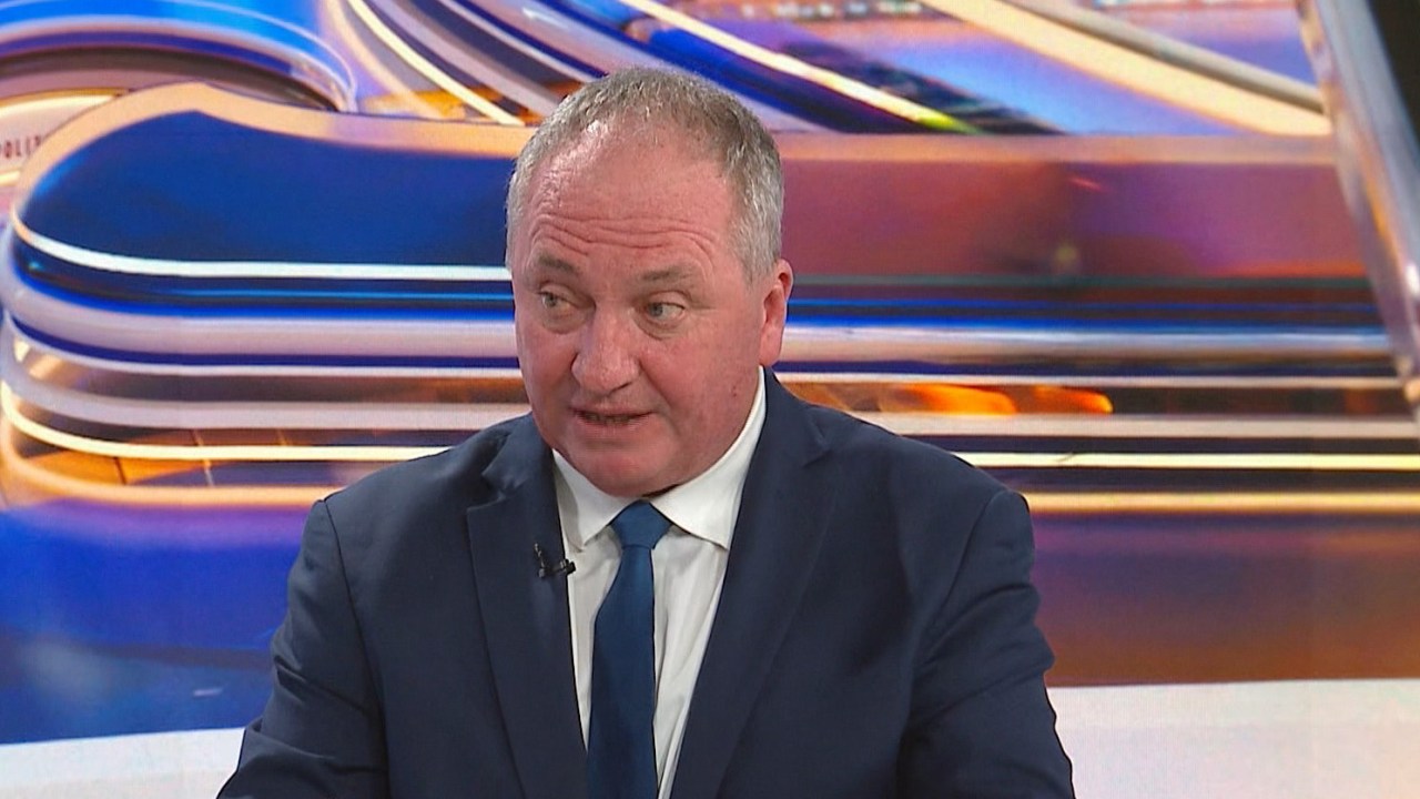 Barnaby Joyce reveals One Nation would limit negative gearing to two properties per owner, including properties already owned