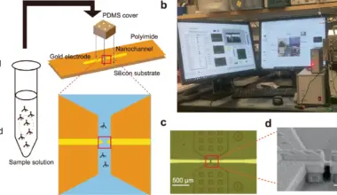 Schematic and images of the experimental setup. Credit - T. Ohshiro et al.