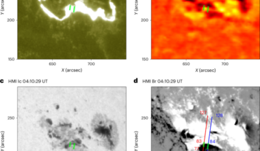 Apparent magnetic field decay in a solar flare from Zeeman splitting of the Mg I 12.32-µm line
