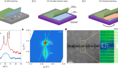 Polarization vortices in a ferromagnetic metal via twistronics