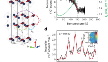 Single-stripe magnetic order and bilayer spin dynamics in single-crystalline La3Ni2O7