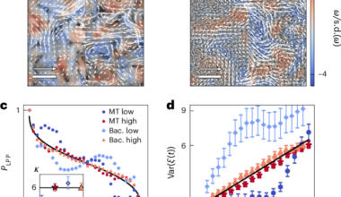 Fully developed active turbulence defined through a non-equilibrium phase transition