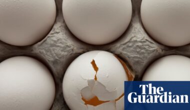 Egg ‘cartel’ of a dozen suppliers manipulated Australian market for years, regulator alleges | Australian Competition and Consumer Commission (ACCC)