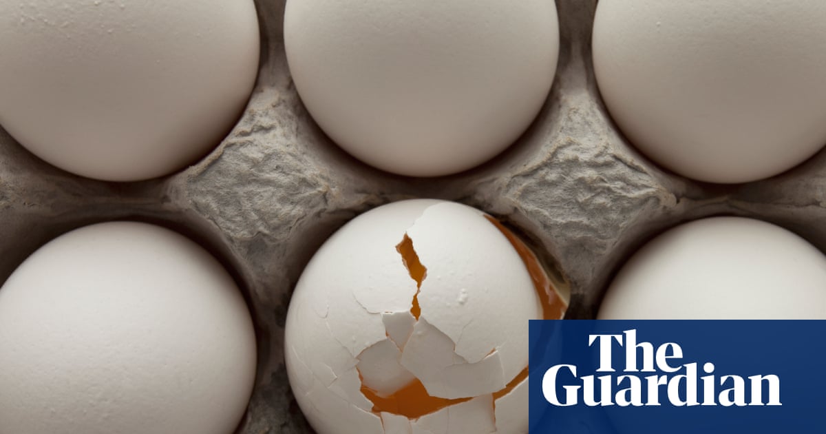 Egg ‘cartel’ of a dozen suppliers manipulated Australian market for years, regulator alleges | Australian Competition and Consumer Commission (ACCC)