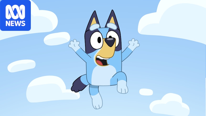 ABC tells One Nation to remove cartoon depicting Bluey running over a politician