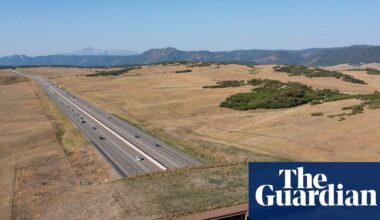 Colorado wildlife overpass cut vehicle-animal collisions by 91%, report finds | Colorado