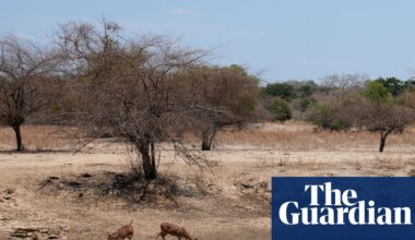 IPCC is under pressure to delay publication of key global climate report | Intergovernmental Panel on Climate Change (IPCC)