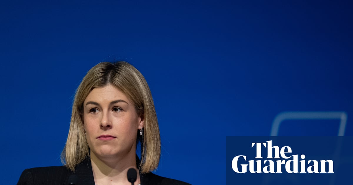 ‘Not our friends’: Victorian Coalition warns Advance’s ‘bizarre’ campaign may cost it majority government | Victorian politics