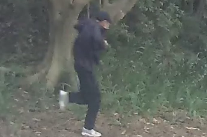 Blurry photo of man running with trees in the background