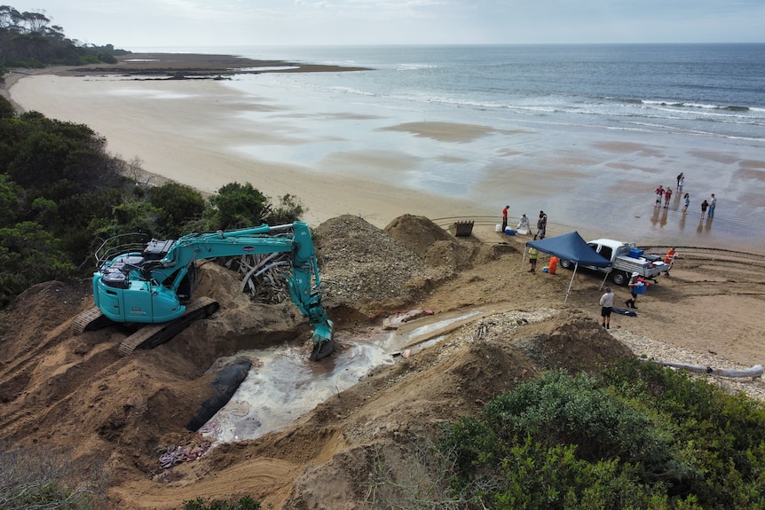 an aerial shot showing a big hole on a beach with a whale in it and people around
