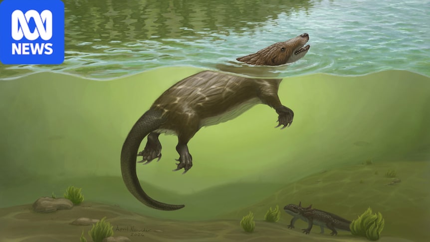 'Platypus-like' fossil in China is oldest-known semiaquatic mammal-like animal