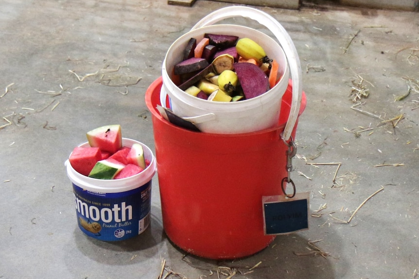 Two buckets of fruit and vegetables side by side.