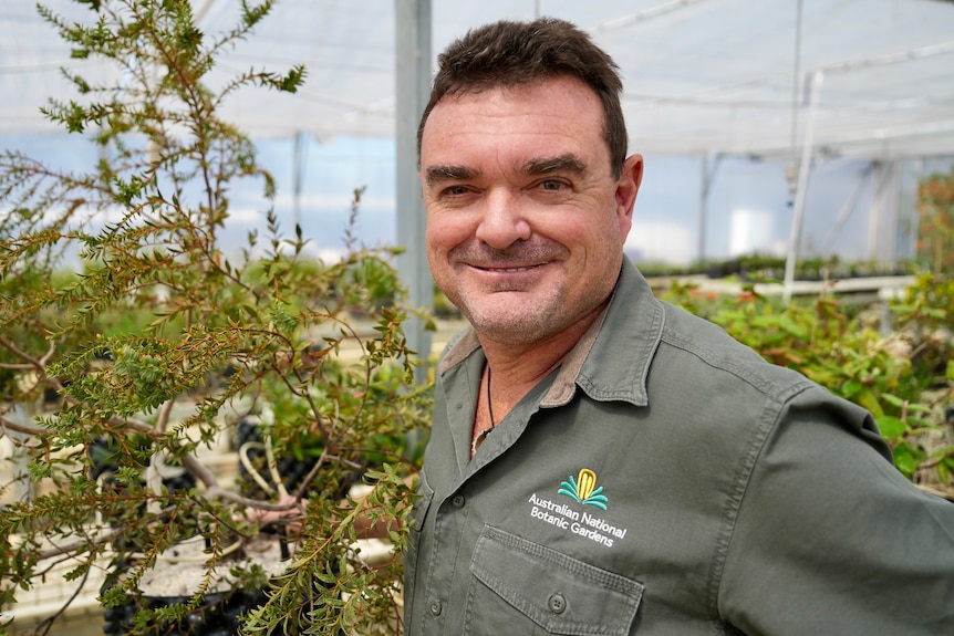 A professional smiles at the camera near trees he has helped to grow.