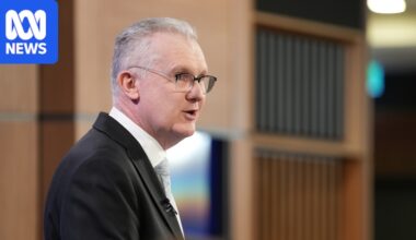 Home Affairs 'unlawfully' jailed Australian citizen for 945 days, ombudsman reports