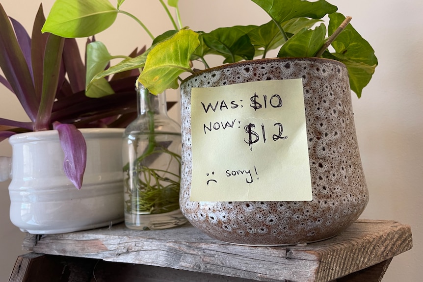 A pot plant with a price tag of $12 when it used to cost $10.