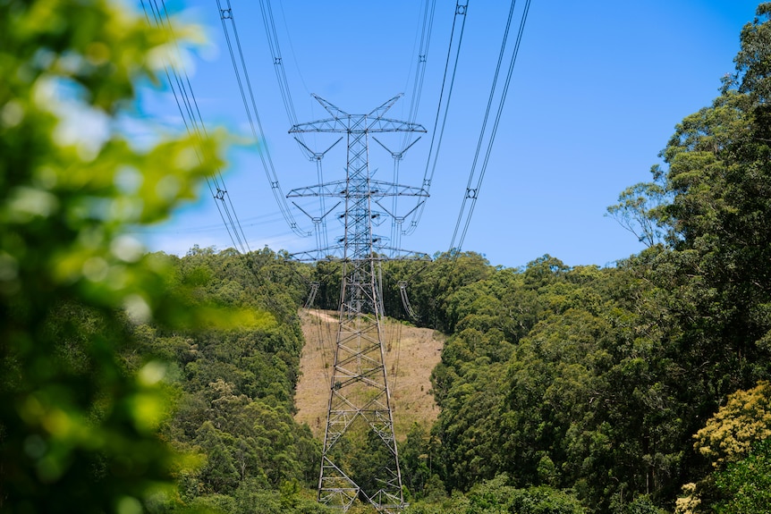 a large tower holding up power lines, running through the bush