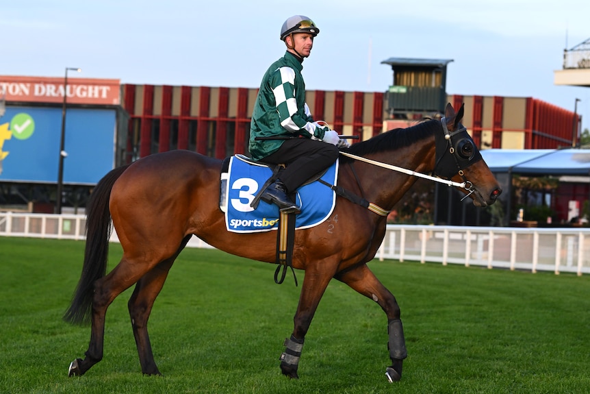Jye McNeil on Ohope Wins at Caulfield before the Caulfield Cup.