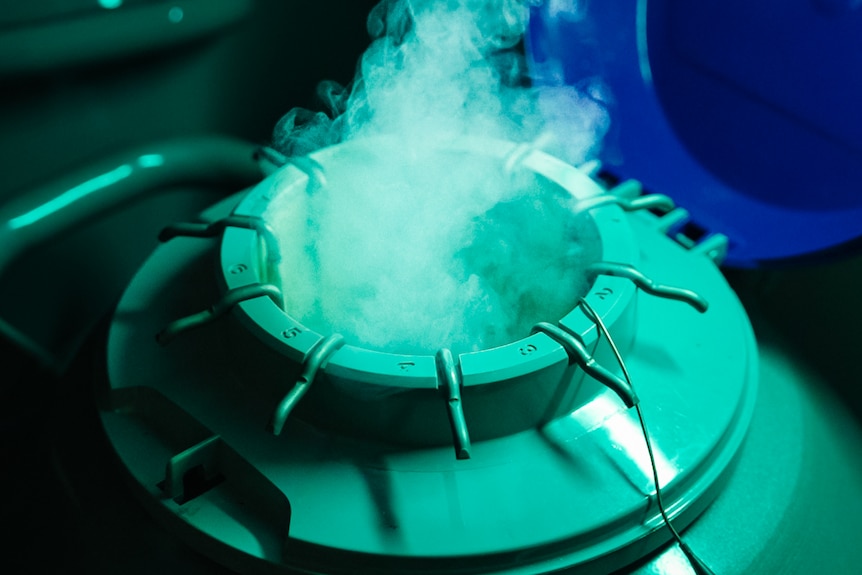 Large metal container with liquid nitrogen where egg specimens are held.