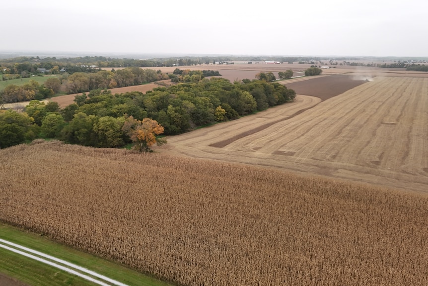 An aerial view of a crop field.