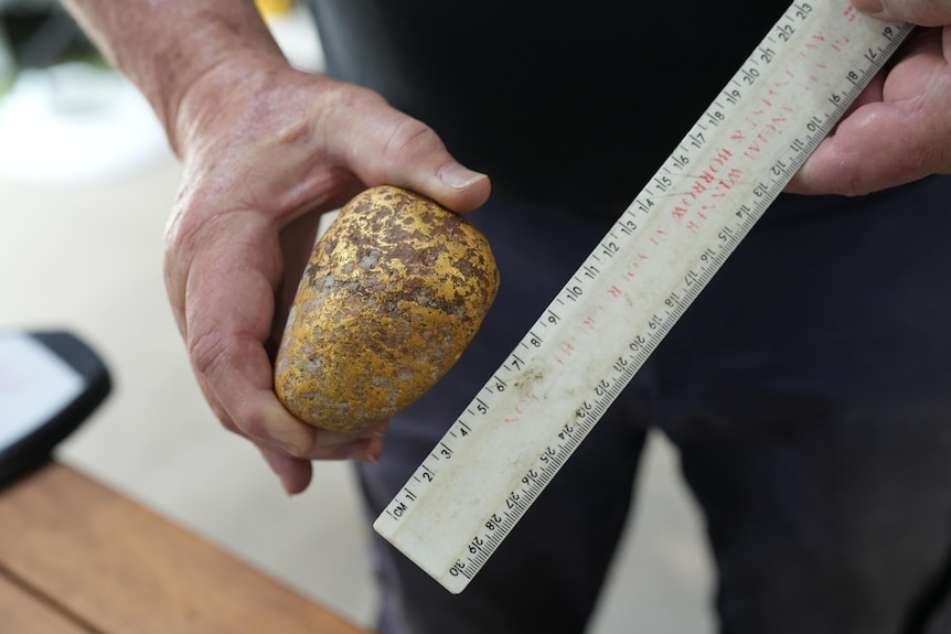 Hands holding the gold nugget up against a ruler, showing it's about 8 to 9cm long.