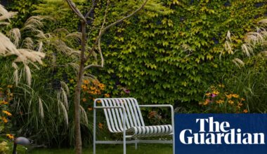 From urban rooftops to working cattle farms: Australia’s best home gardens – in pictures | Gardens