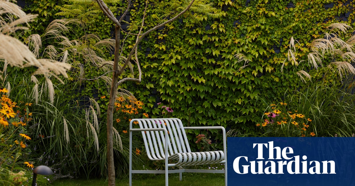 From urban rooftops to working cattle farms: Australia’s best home gardens – in pictures | Gardens