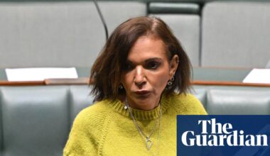 Anne Aly reveals she has received 19 death threats in the past week alone | Australian politics