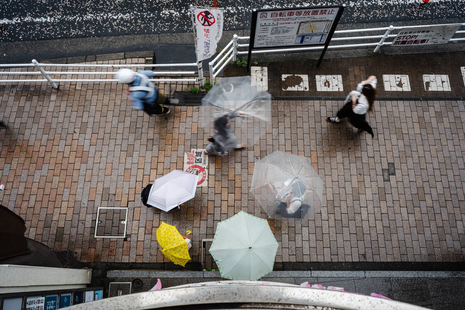 For mind and body, Tokyo hopes for brighter October after record run of rain
