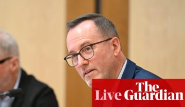 Australian politics live: Shoebridge calls AI committee a ‘farce’ after letter ‘vetted’ by PM’s staffer; fire ants in Sydney’s inner west | Australia news