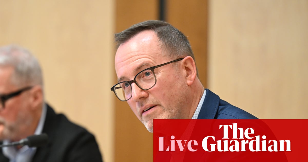 Australian politics live: Shoebridge calls AI committee a ‘farce’ after letter ‘vetted’ by PM’s staffer; fire ants in Sydney’s inner west | Australia news