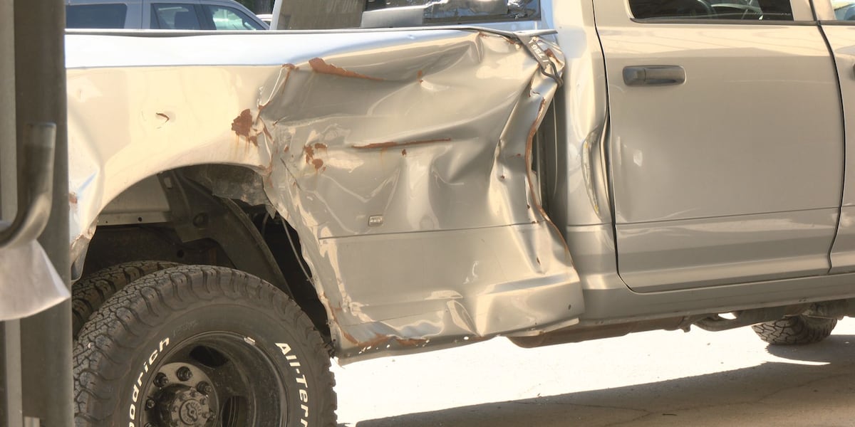 Deer mating season drives up collision risk in Horry County