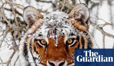 World must change way it produces food to avoid biodiversity collapse, says WWF | WWF
