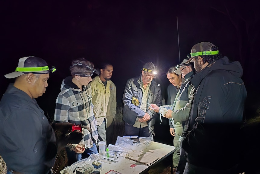 Researchers collected data at night