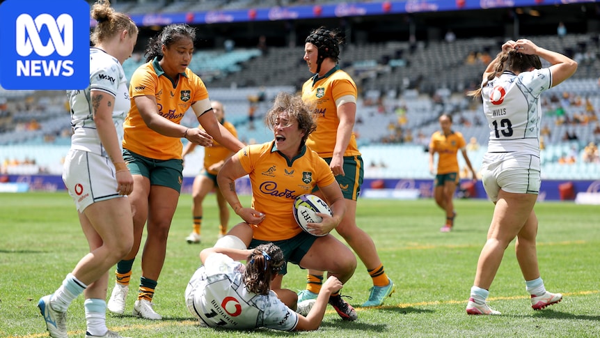 Wallabies vs All Blacks, Wallaroos vs Scotland live updates and scores from Sydney