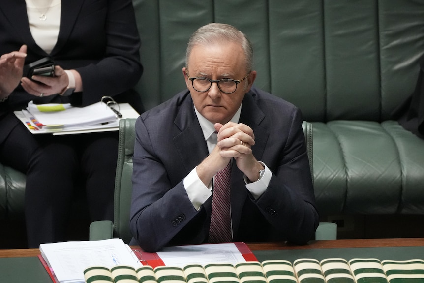 Albanese walks down the aisle between benches in the Lower House