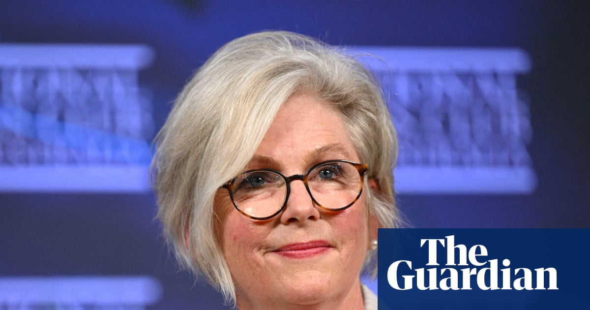 ‘Everything you would want from a politician’: who is Helen Haines, the MP allegedly attacked in Victoria? | Helen Haines